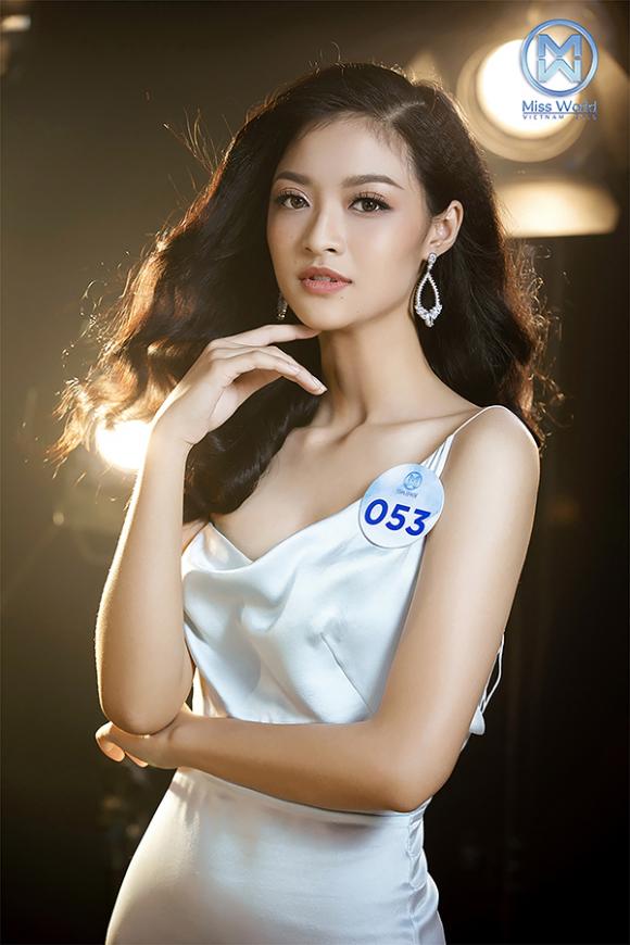 Miss World Việt Nam 2019, sao Việt